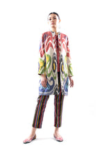 Multicolor Classic Ikat Jacket, Image