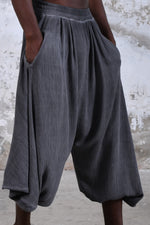 Tri Salvar Pants, Image